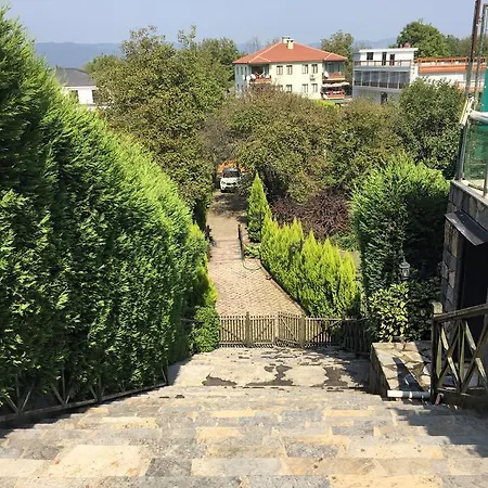 Aydemir سبانجا